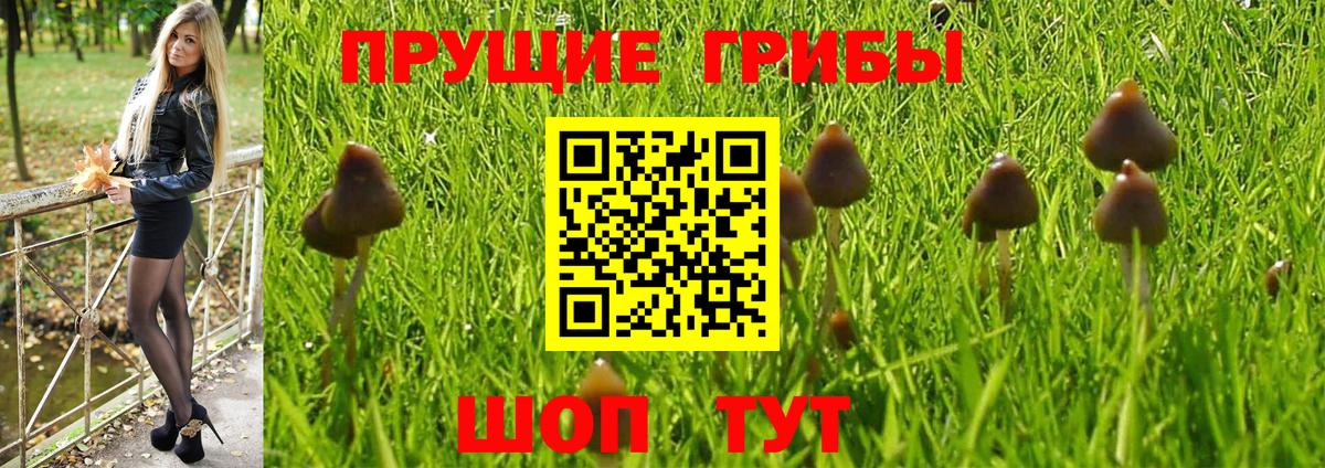 даркнет сайт  Галлюциногенные грибы прущие грибы  Вход с VPN  Ярцево 